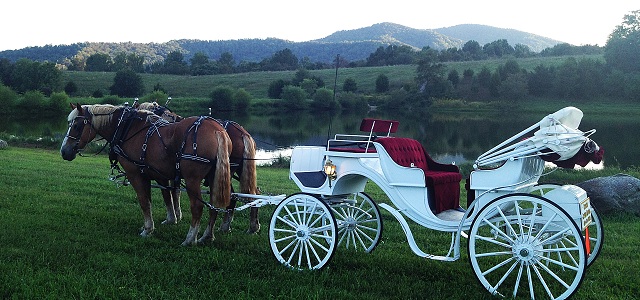 Horse Drawn Carriage available for your special day